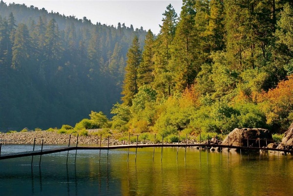 Redwood Meadows RV Resort image 10